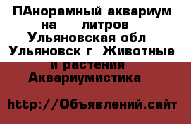 ПАнорамный аквариум на 250 литров. - Ульяновская обл., Ульяновск г. Животные и растения » Аквариумистика   